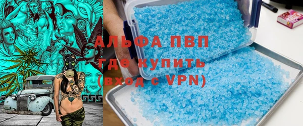 прущие грибы Зеленокумск
