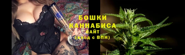 прущие грибы Зеленокумск