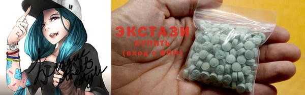 мдпв Инсар