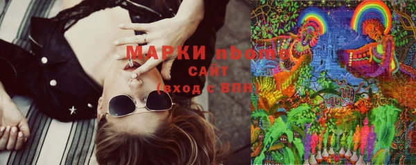 прущие грибы Зеленокумск