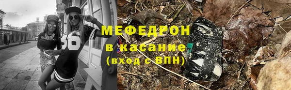 мдпв Инсар