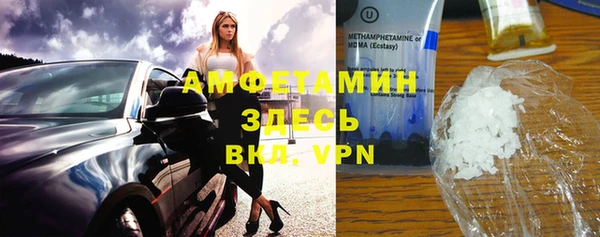 прущие грибы Зеленокумск