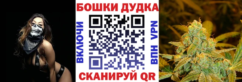 Канабис Amnesia  Купить где  Родники 